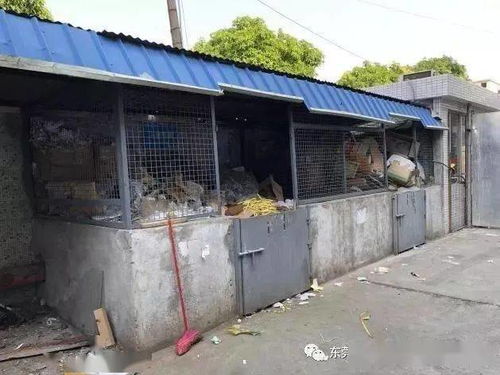 廢品站再做這類回收，就要攤上大事了！環境局提醒 一般工業固廢未按要求存放，最低罰款10萬元，嚴重的還要拘留